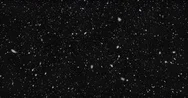Falling Realistic Snowflakes From Top To Bottom, Calm Snow, On Black Background Stock Footage