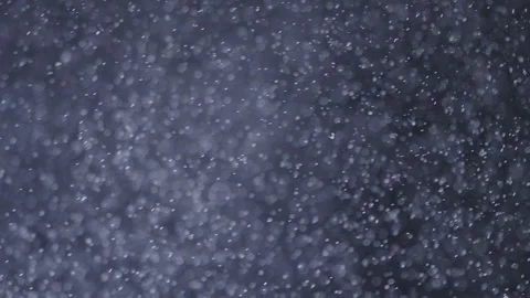 Falling Realistic Snowflakes From Top To Bottom, Calm Snow, On Black Background Stock Footage 252828794
