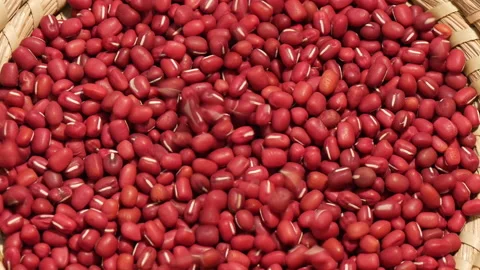 Falling red adzuki beans into basket Stock Footage 162592511