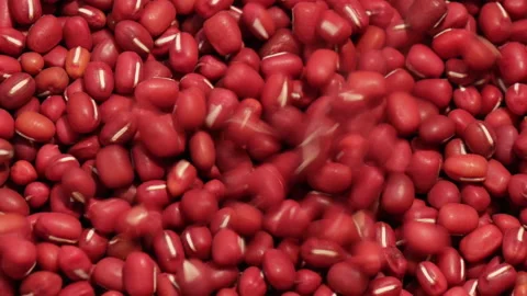 Falling red adzuki beans into turning basket 库存影片 162592407