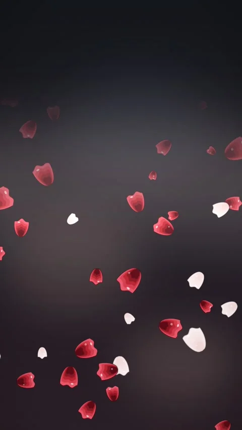 Falling red and white petals against dark background. 2d animation Stock Footage 344092592