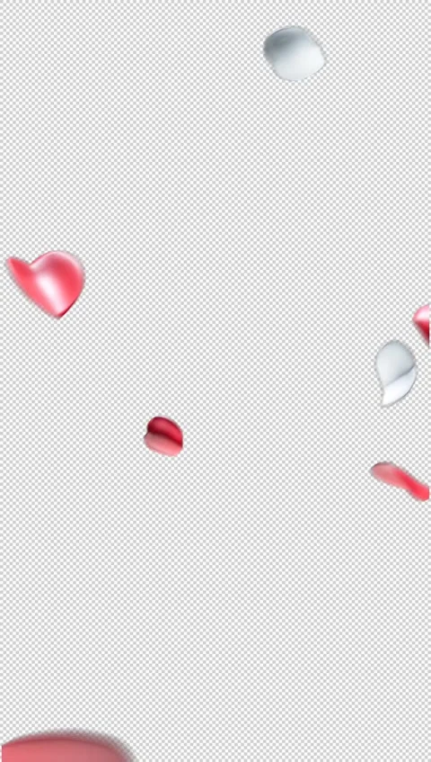Falling Red And White Rose Petals with Transparent Background Vertical Stock Footage 331313460