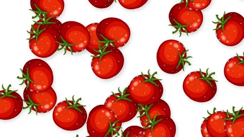 Falling Red Cherry Tomatoes Animation on Isolated White Background Stock Footage 340194525
