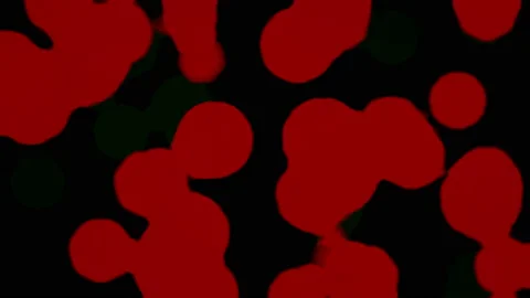 Falling Red Circles on Black Background Stock Footage 89331165