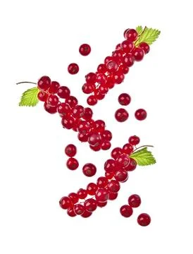 Falling red currants Stock Photos