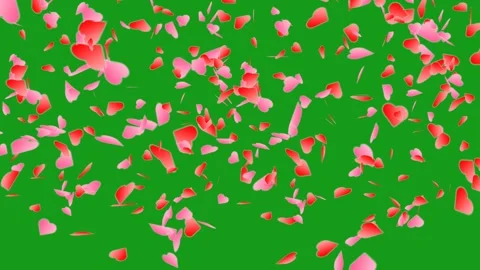 Falling red hearts motion graphics with green screen background Stock Footage 164711876