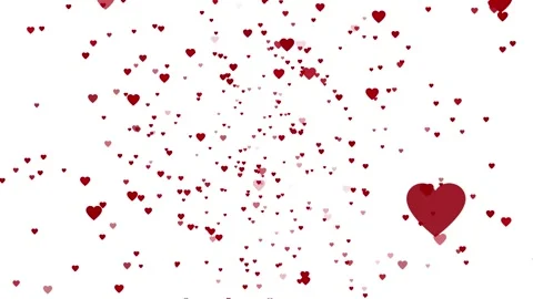 Falling red hearts on white background animation. Gift. Love. Valentine's day Stock Footage 261283445