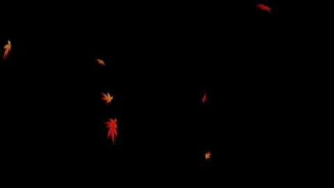 Falling Red Leaves Stock Footage 327525503