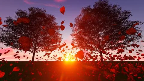 Falling red leaves at sunset. trees with red leaves.Sunset. 3D rendering Stock Illustration