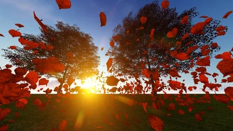 Falling red leaves at sunset.3D Render Stock Footage 210010593