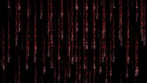 Falling red matrix code Stock Footage 81049414