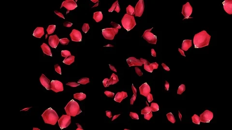 Falling Red Petals 스톡 동영상 104774249