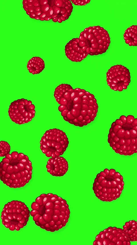 Falling Red Raspberries Animation on Green Screen Background Stock Footage 344714335