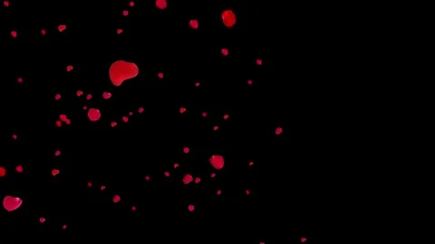 Falling Red Rose Petals 0-1 Stock Footage 244755706