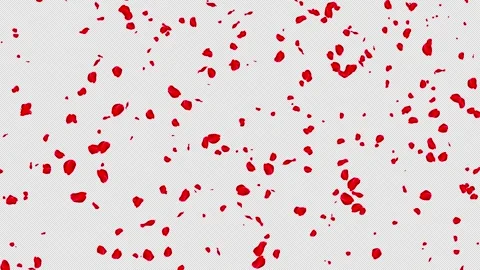 Falling Red Rose Petals with Alpha Channel Romantic Overlay Stock Footage 329817658