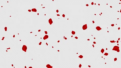 Falling Red Rose Petals with Alpha Channel Romantic Overlay Stock Footage 331567617