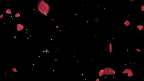 Falling red rose petals cascading through shimmering sparkling stars against Stock-Footage 345335275