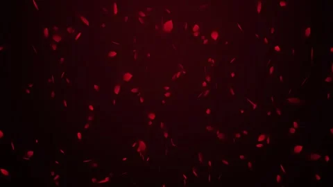 Falling red rose petals on dark background seamless loop Stock Footage 341106635
