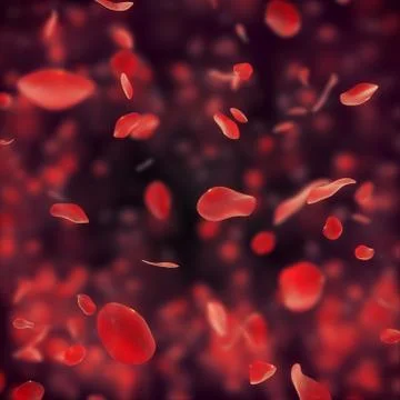 Falling red rose petals on dark background Stock Illustration