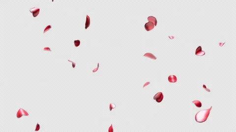 Falling Red Rose Petals Stock Footage 331313578