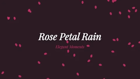 Falling red rose petals rain on dark romantic elegant background texture Stock Footage 336879903