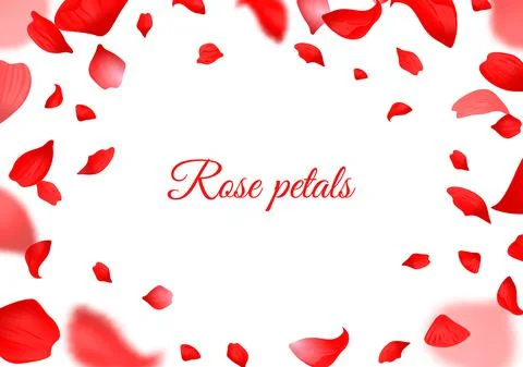 Falling red rose petals. Realistic flying petal, botanical frame for valentines イラスト素材