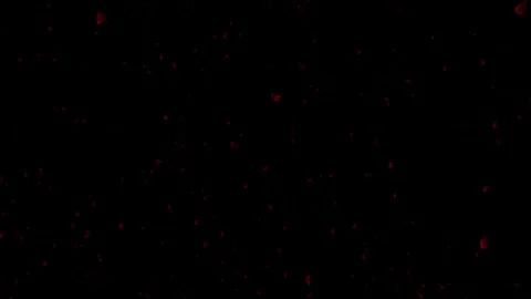 Falling Red Rose Petals Romantic 4K Seamless Loop Overlay Video stock 334533556