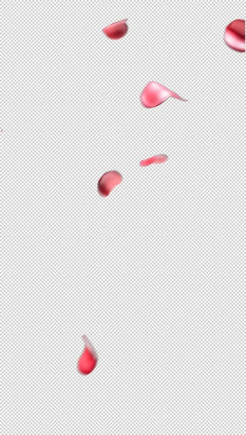 Falling Red Rose Petals Vertical Stock Footage 331313514