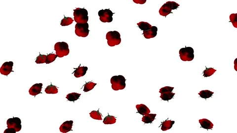 Falling red roses flower loop Stock Footage 133865437