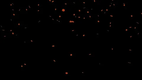 Falling red small leaves isolated with an alpha channel Stock Footage 255659215