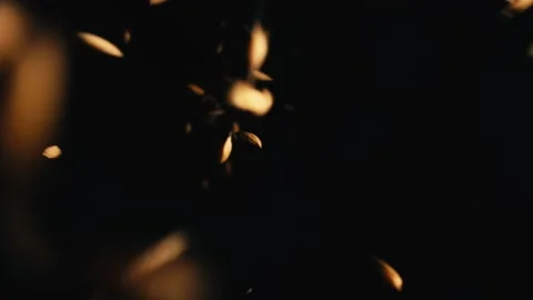 Falling Of  Rice Seed   Grains Background close up Stock Footage 234242745