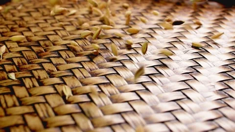 Falling Of  Rice Seed   Grains Background Stock Footage 234242800