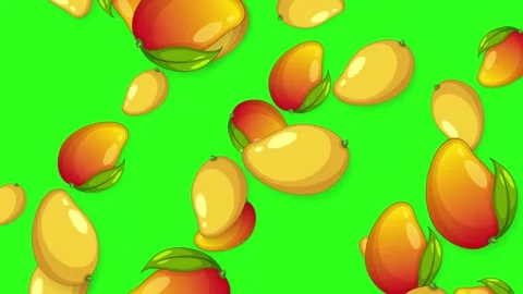 Falling Ripe Mango Fruit Animation on Green Screen Background Stock Footage 344835183