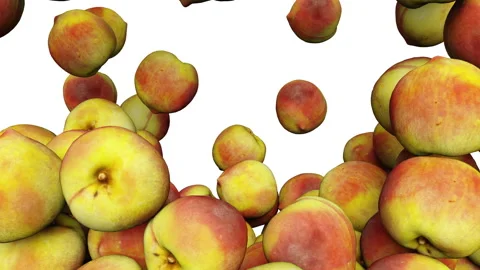 Falling ripe peaches on white background. 스톡 동영상 285392083