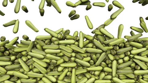 Falling ripe zucchini on white background. Vídeo Stock 285390314