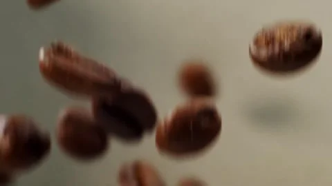 Falling Roasted Coffee Beans on Gradient grey background in Slow motion . Stock-Footage 151118626