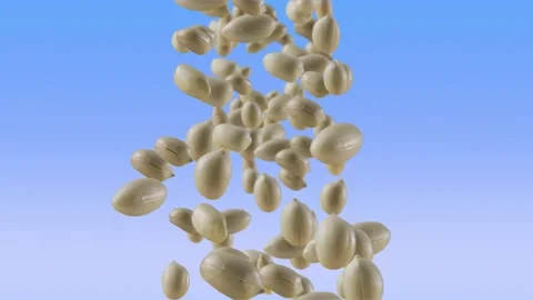 Falling of Roasted Peanuts in Sky Blue Background Stock Footage 148387808