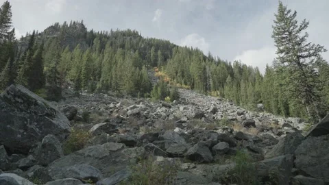 Falling Rocks and Trees on the Trail in Grand Teton National Park Stock Footage 218413189