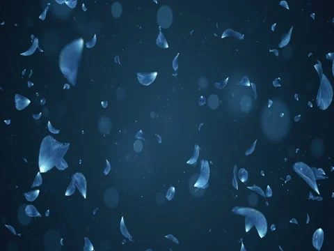 Falling Romantic Dark Blue Rose Flower Petals Flying Background Loop 4k Stock Footage 71416712