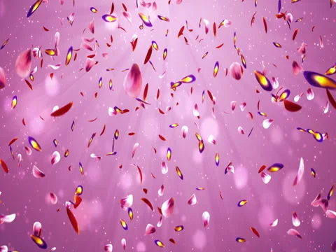 Falling Romantic Red Pink Purple Sakura Flower Petals Light Background Loop 4k Stock Footage 71410870