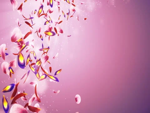 Falling Romantic Red Pink Purple Flower Petals Bokeh Placeholder Loop 4k Stock Footage 71414903