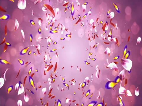 Falling Romantic Red Pink Yellow Sakura Flower Petals Flying Background Loop 4k Stock Footage 71409578