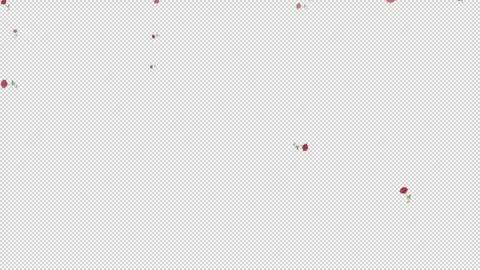 Falling rose branches rotating from top to bottom in the background 스톡 동영상 321005619