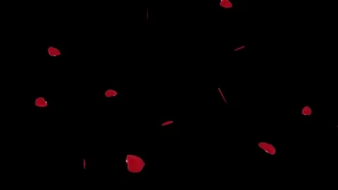 Falling rose petals with alpha channel Stock Footage 69268989