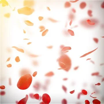 Falling rose petals background with glowing sun Stock-Illustration