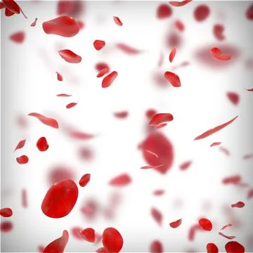 Falling rose petals background Stock Illustration