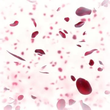 Falling rose petals background Stock Illustration