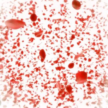 Falling rose petals background Stock Illustration