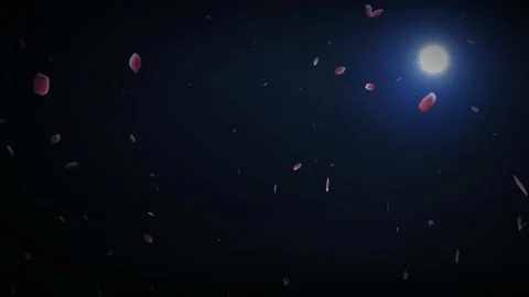 Falling rose petals floating in dark night sky under full moon light Stock-Footage 341731772