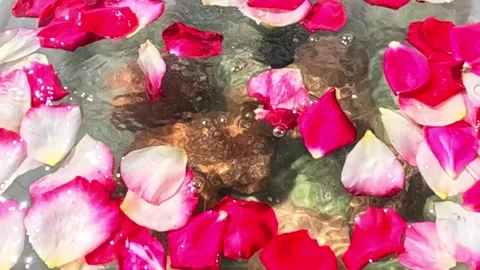 Falling rose petals floating on water surface Video stock 319033136